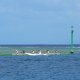 84- Entrainement de va'a a Huahine 